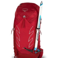 Osprey Talon 33 Hiking Backpack Cosmic Red - S/M -Outdoor Camping Shop OSP0913 RED SM 5